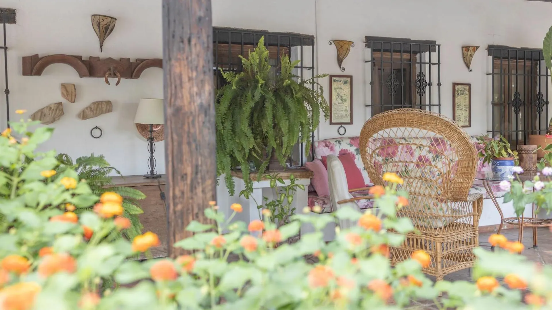 Semesterbostad La Cuadra, Finca A Los Pies De Sierra Nevada, A 10 Minutos Del Centro, Piscina, Jardin, Barbacoa La Zubia  Spanien